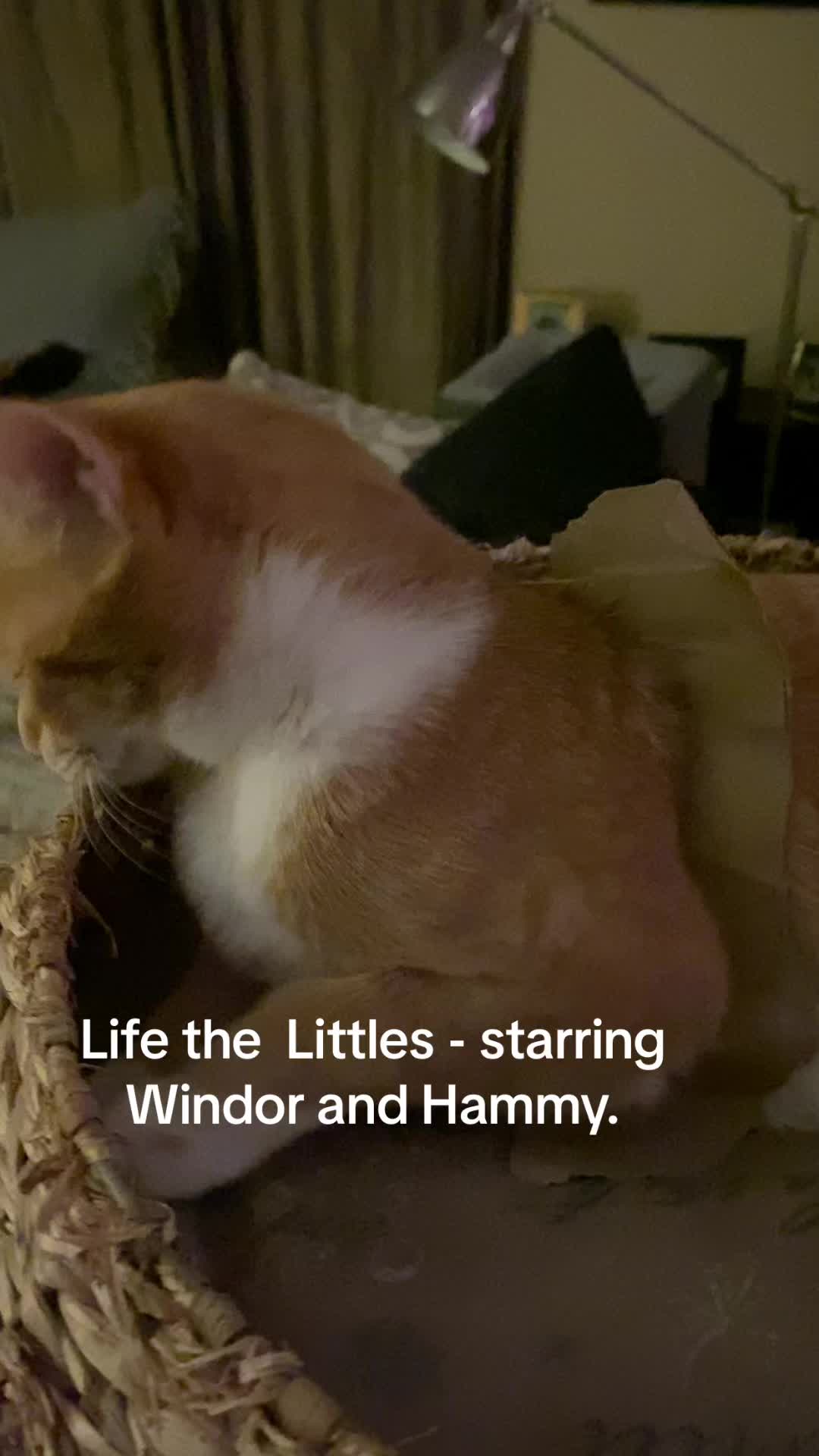 @NotALLwhoWANDERareLOST