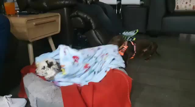 @mxbratt