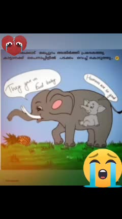 @๐เดเตเดฒเตเดฒเดเดเดพเดฐเตป๐