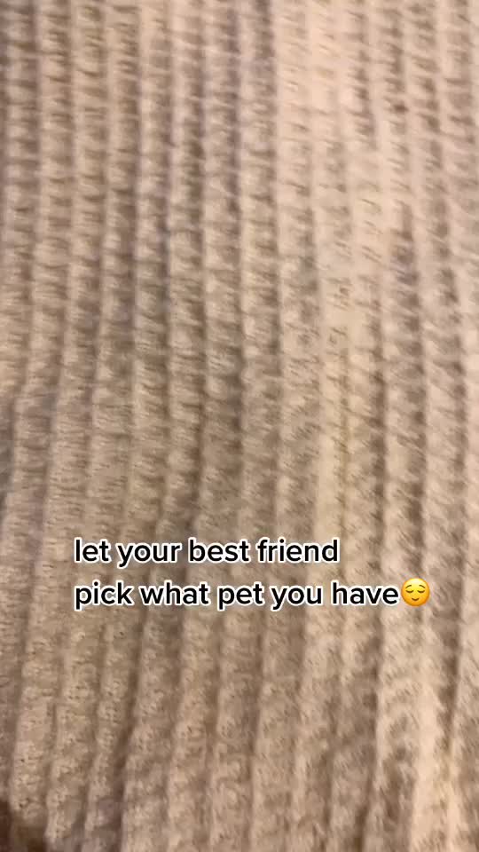 @user6456714913705