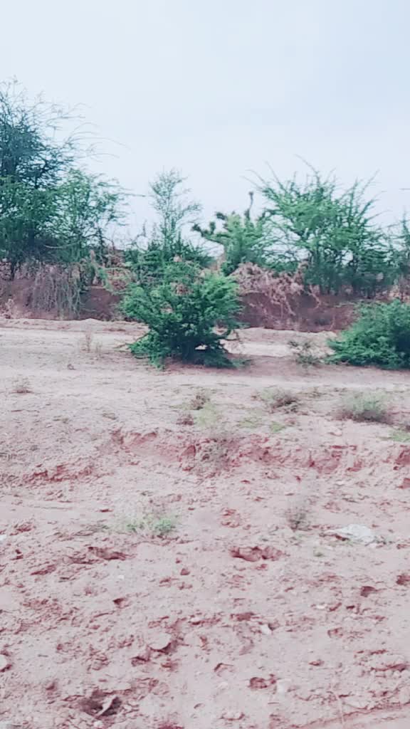 @komal Samariya