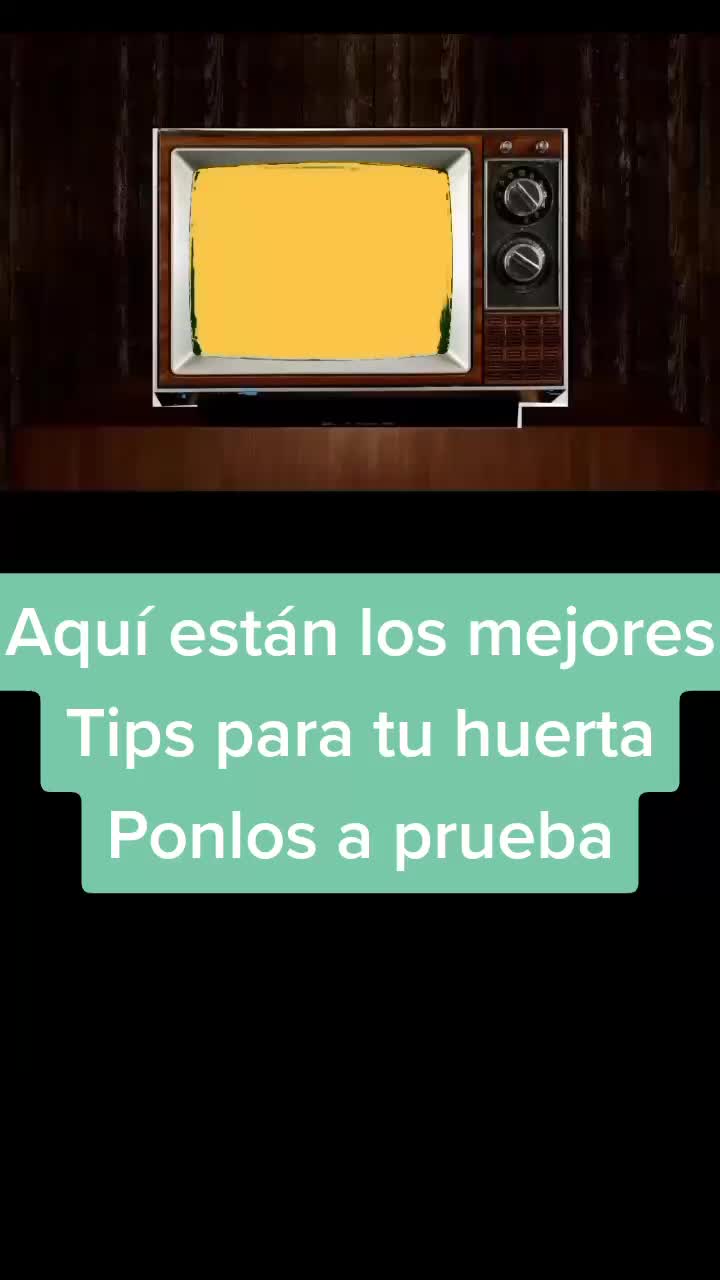 @Pasi&oacute;n a la jardiner&iacute;a🌺💦👈🏼