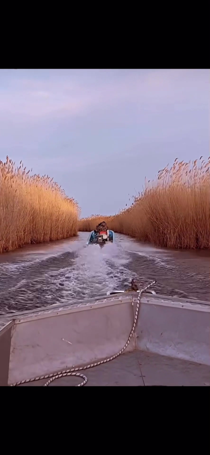 @Я твой космос
