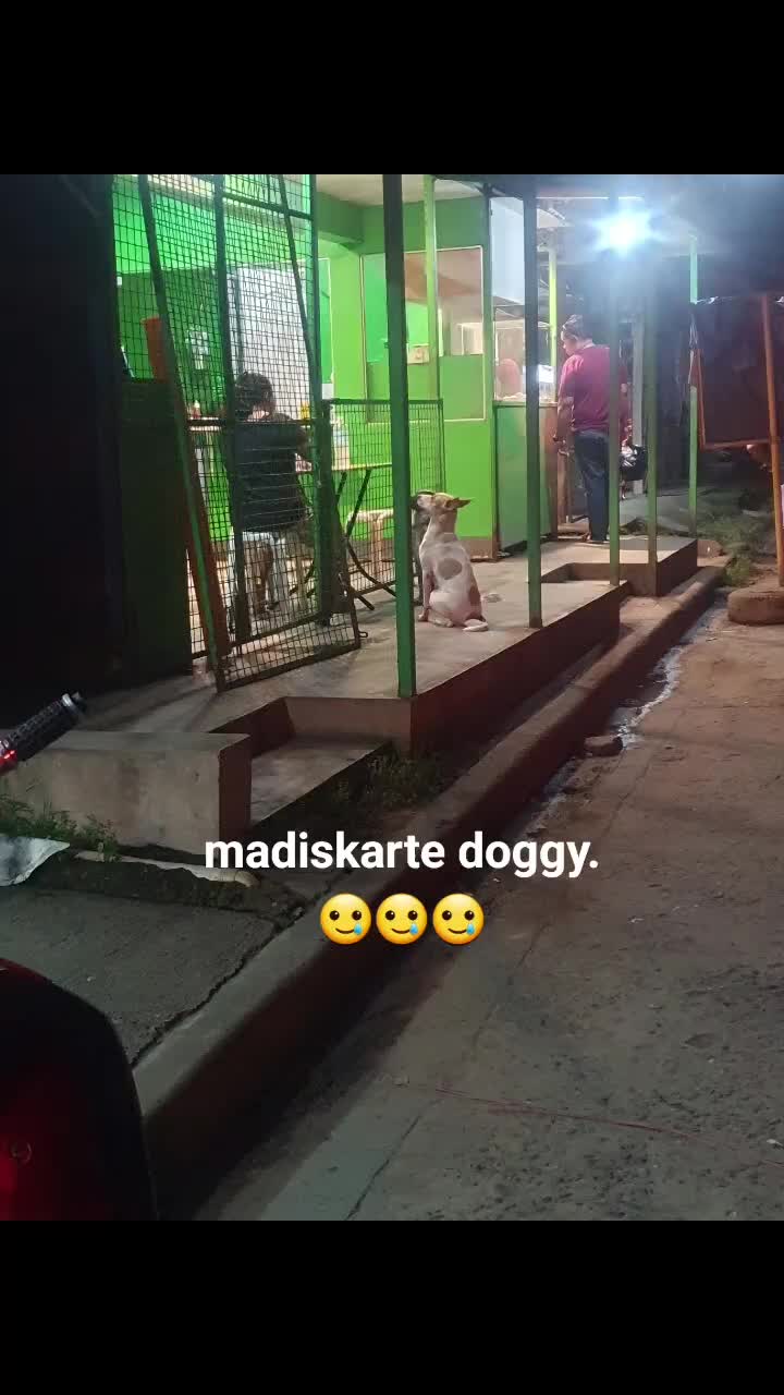 @mel