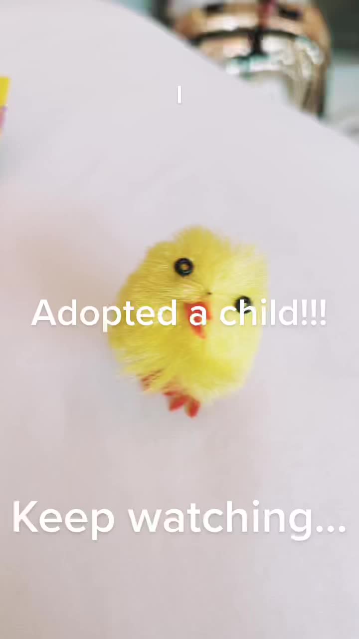 @kevin_the_chick_