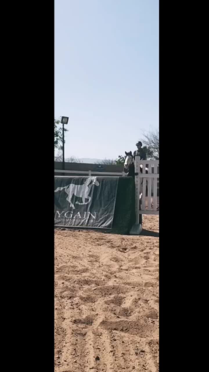 @🏇🏻 нorѕe rιdιng 🏇🏻