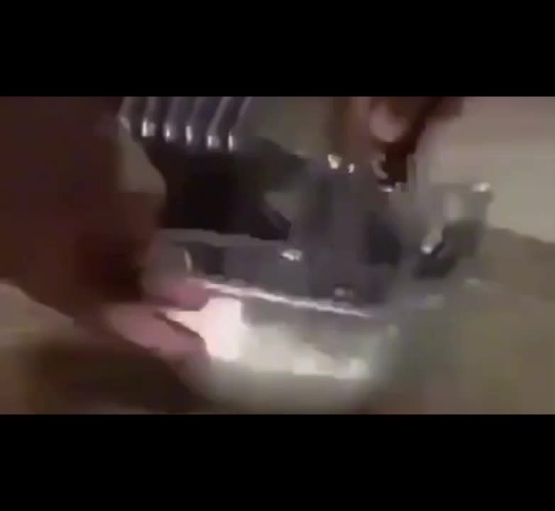 @random terrarian