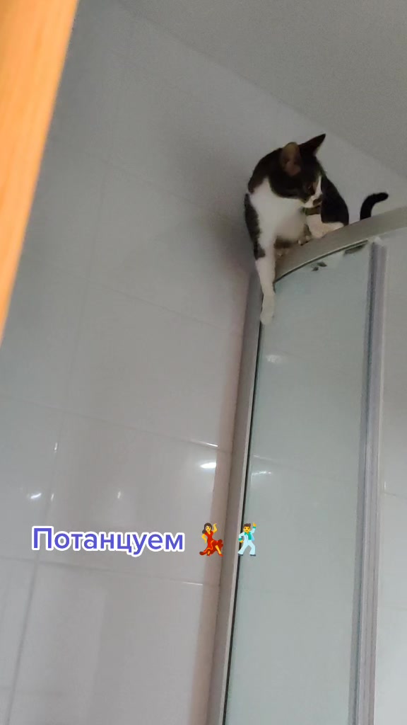 @Miki Мики