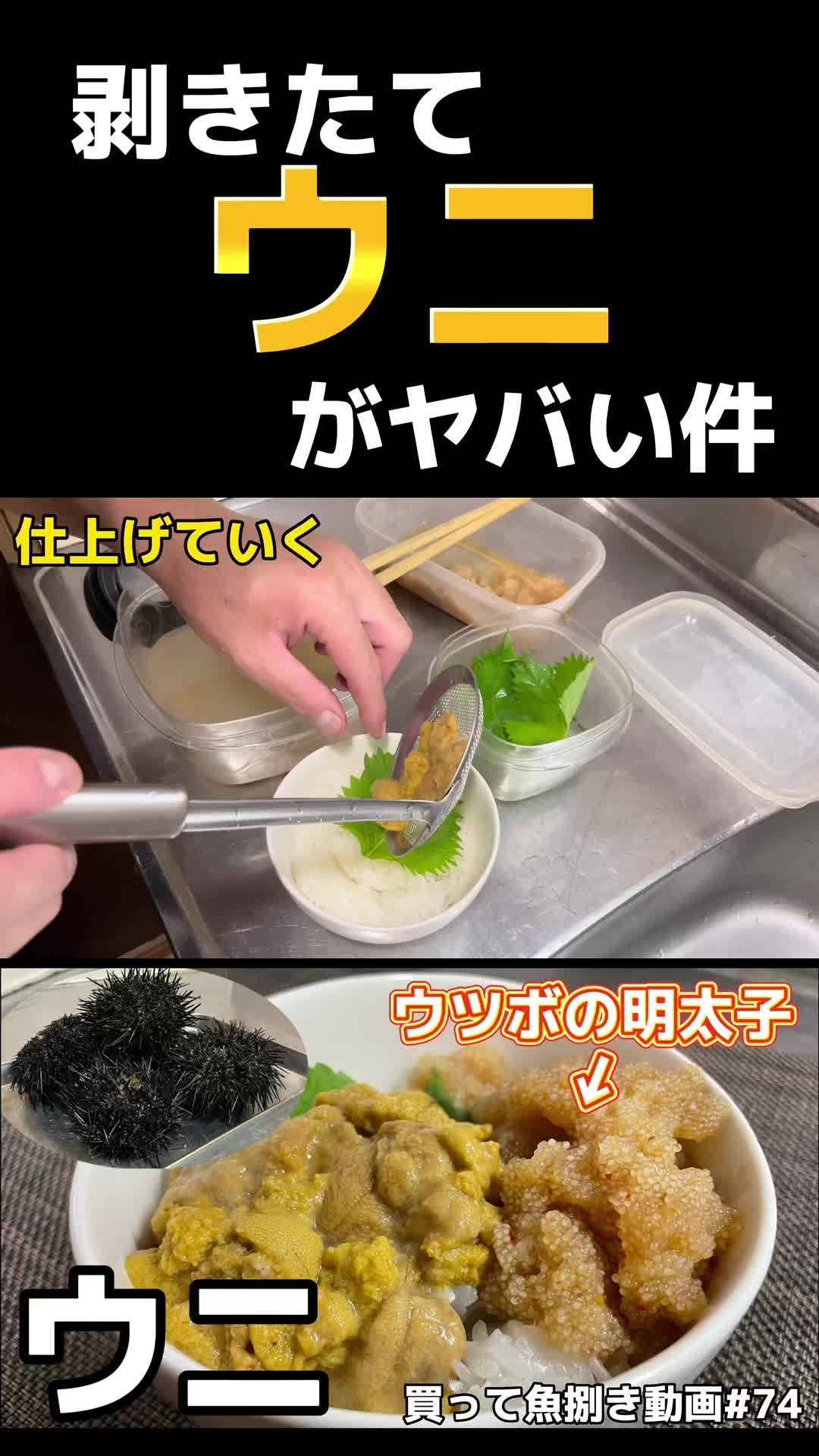 @俺たまご。