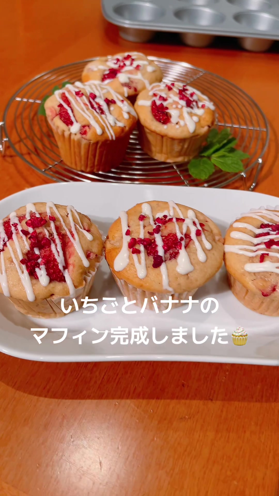 @little lily