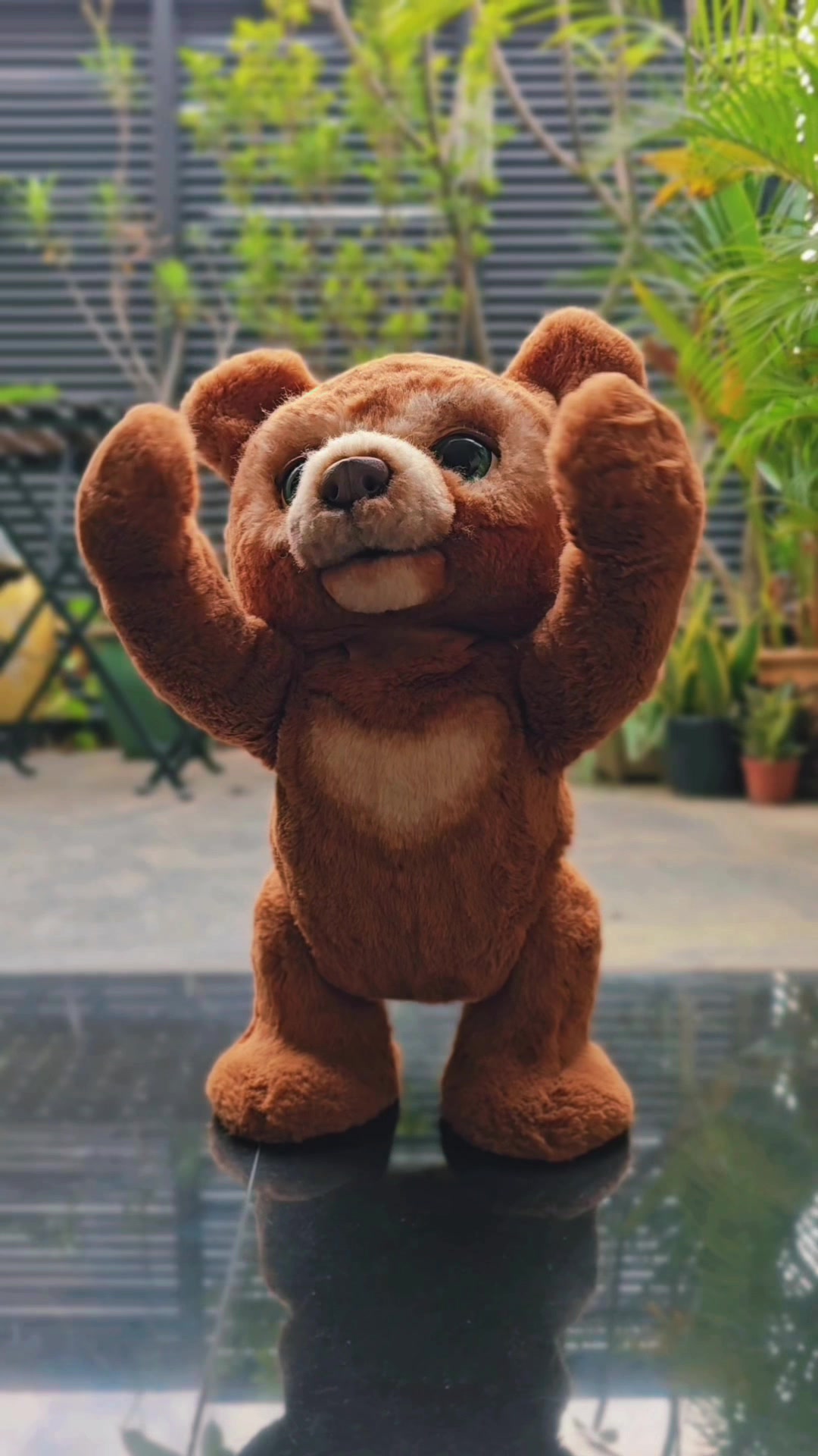 @Bebis Bear
