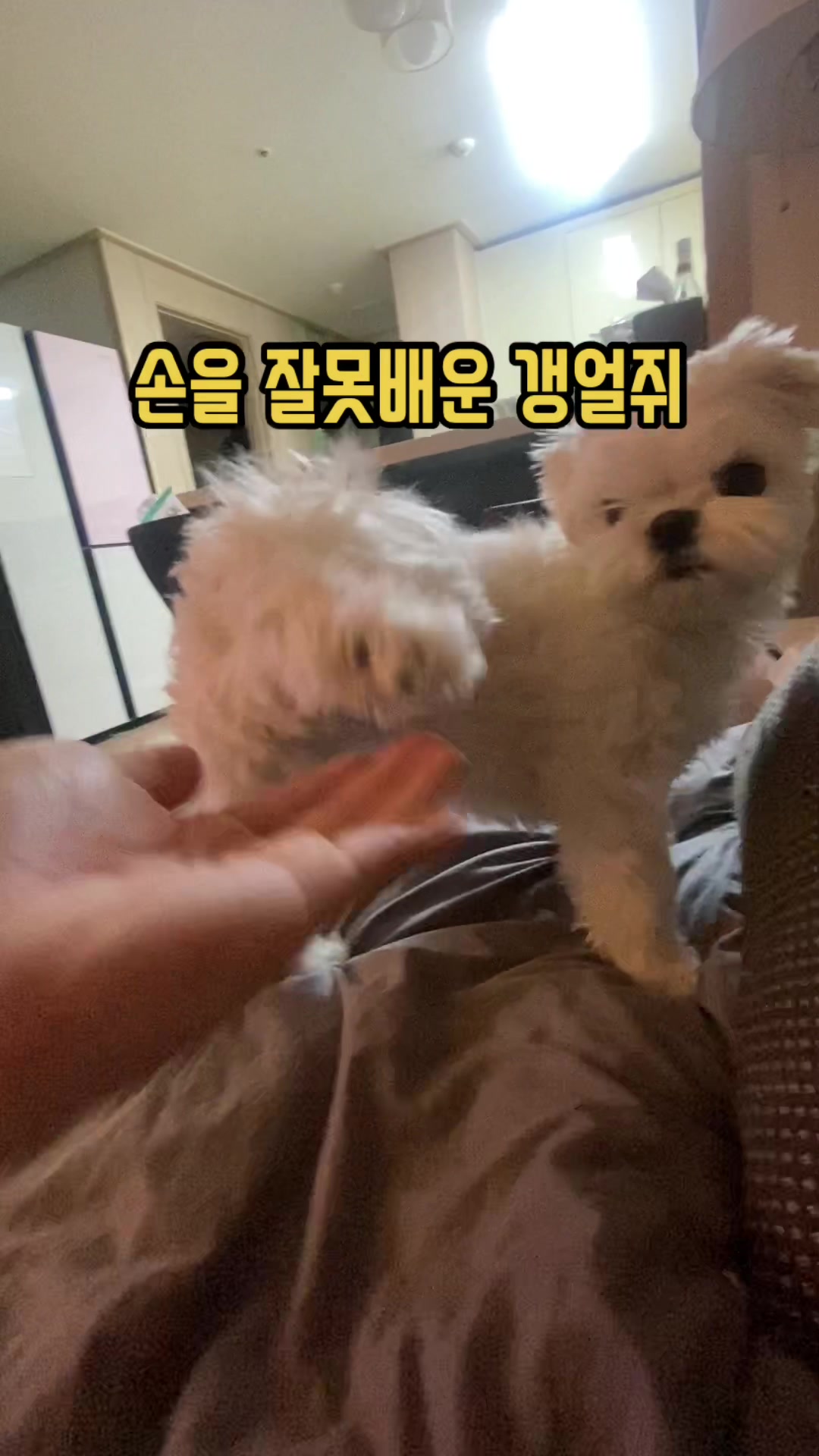 @박까까