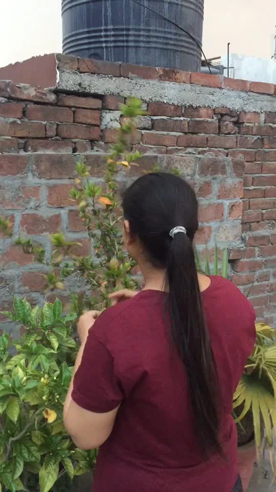 @Kiratpreet Kaur