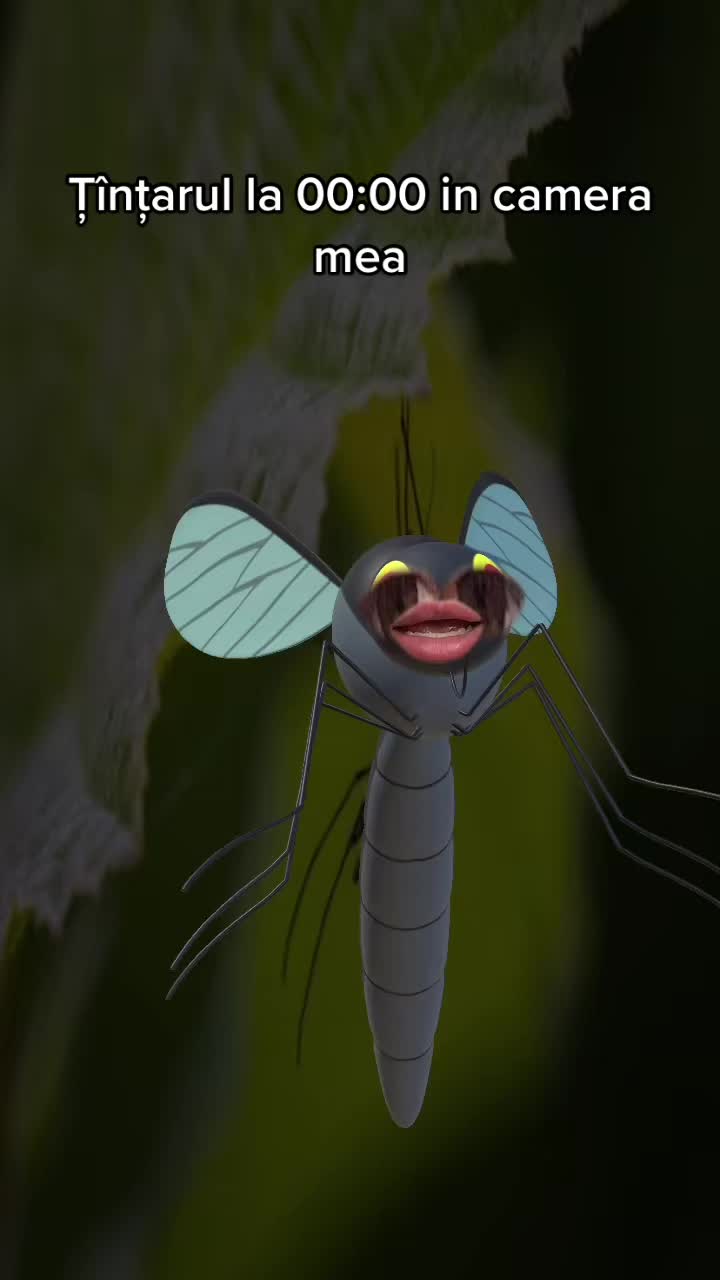 @ianevvi