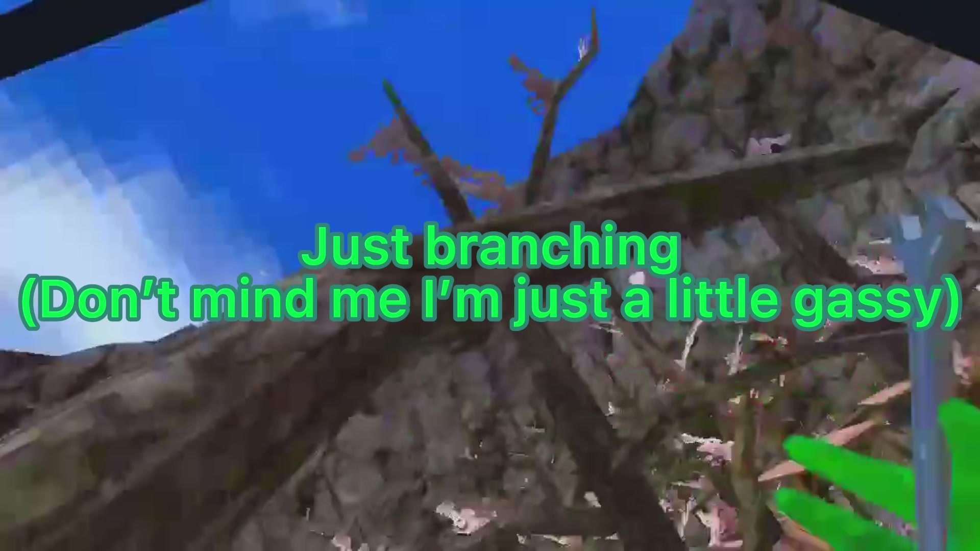 @MONKE TAG CLIPS