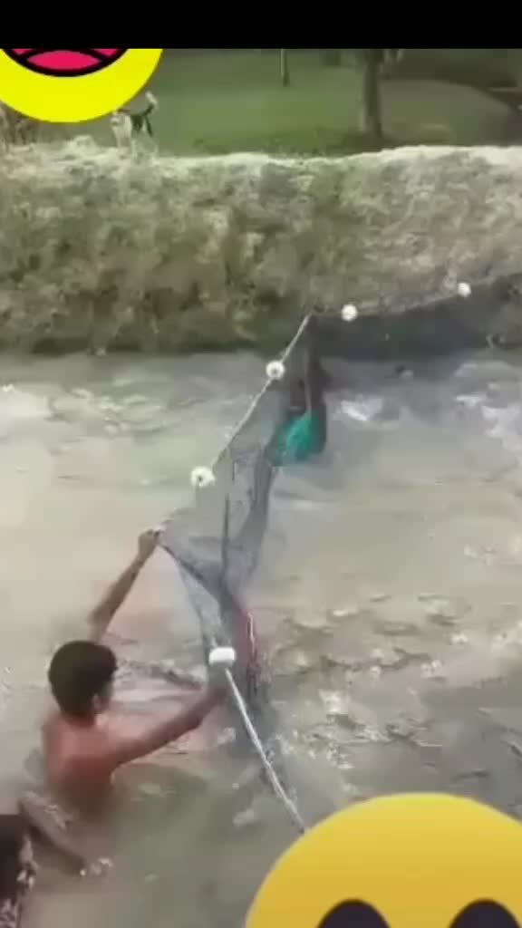 @Lalu Lalu