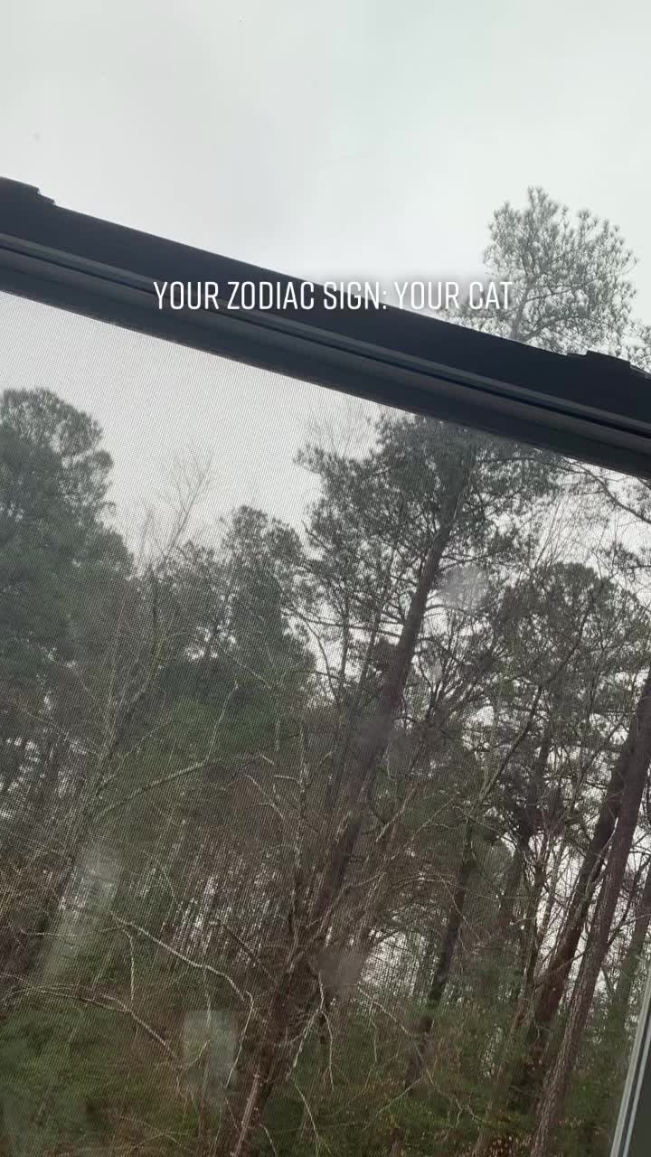 @Zodiac Signs