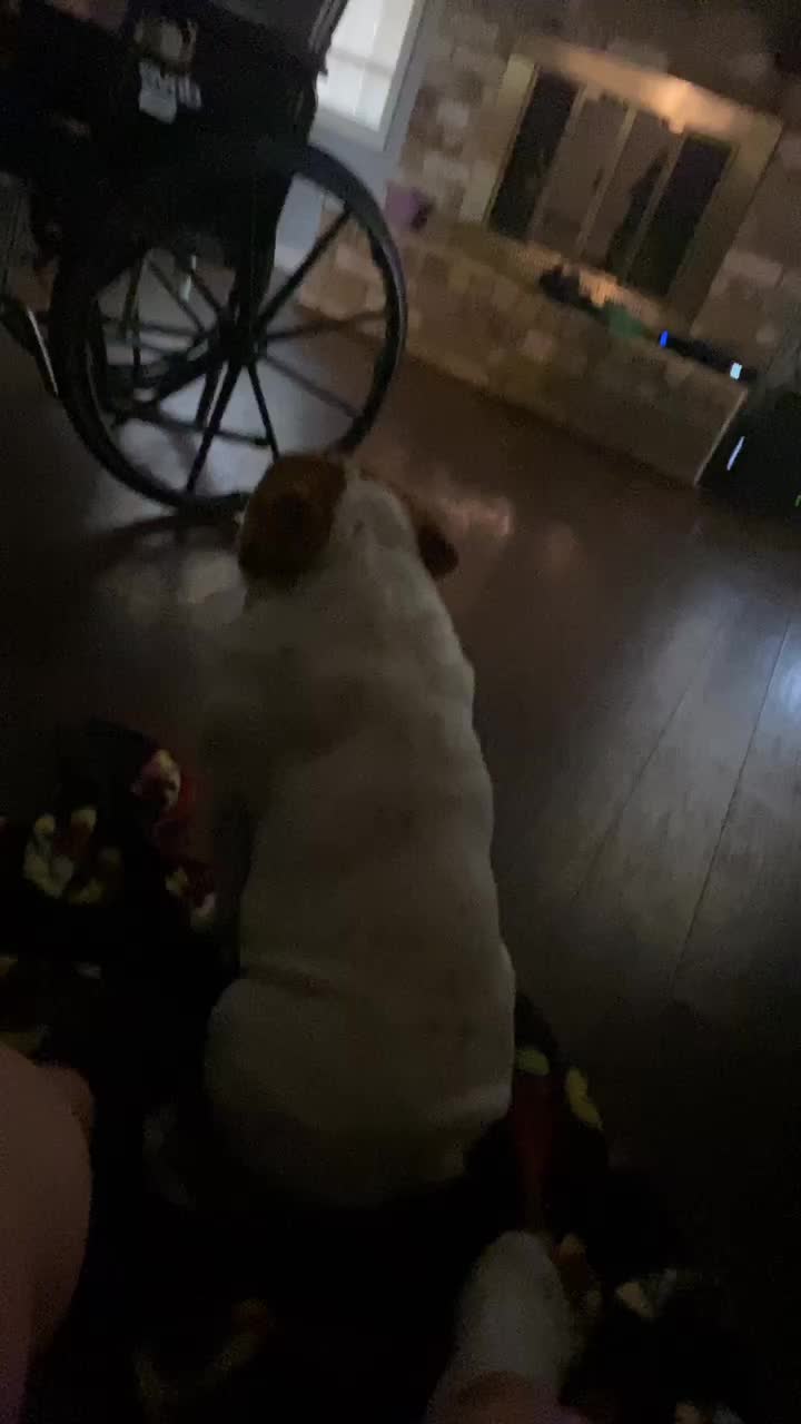 @Miley 🐾🥺❤️