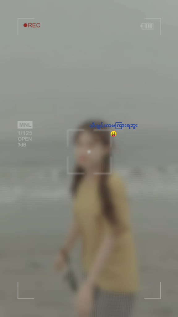@🌸华裔🌸