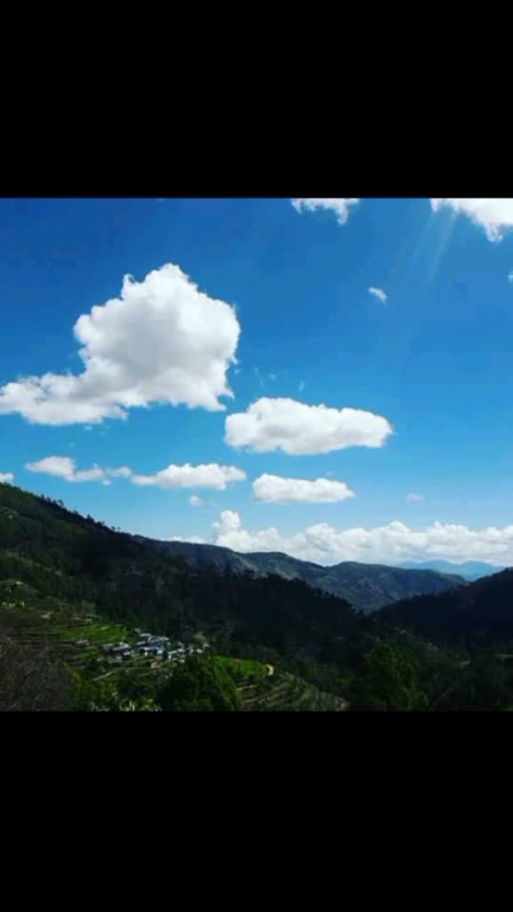 @pahadi bula