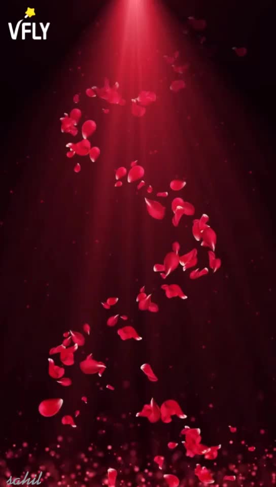 @Sahil Kumar Sahu