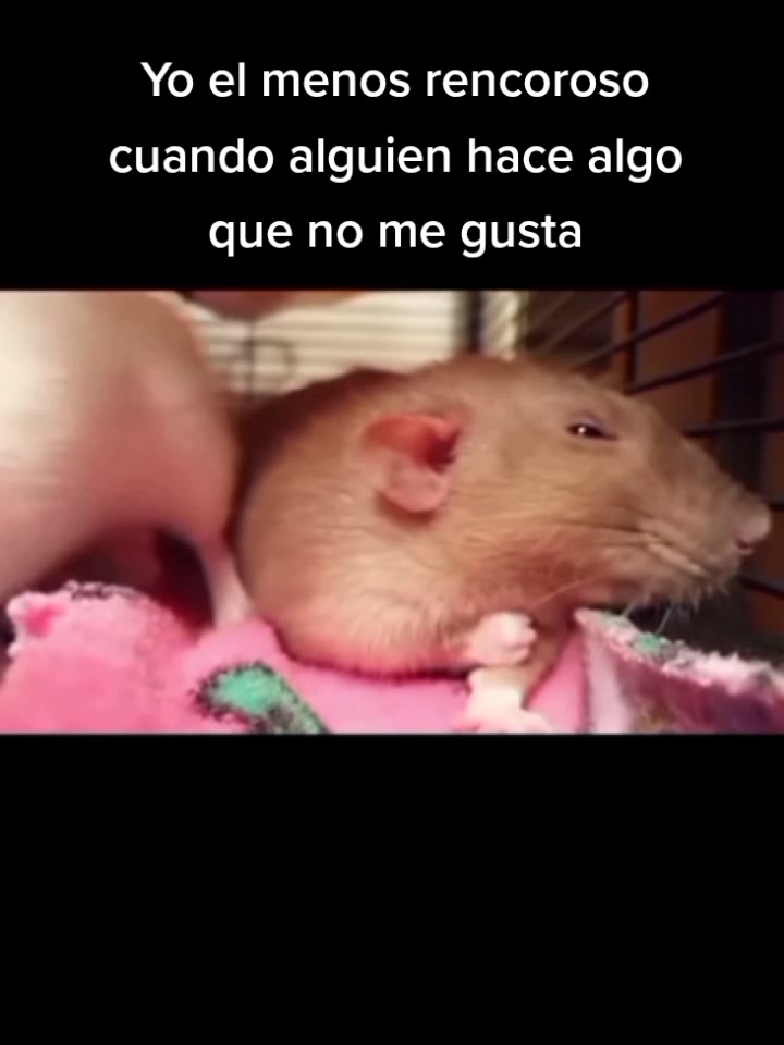 @Larry Ruiz