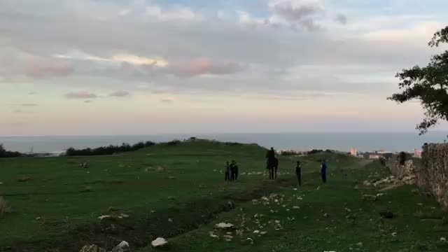 @tarki_horses05