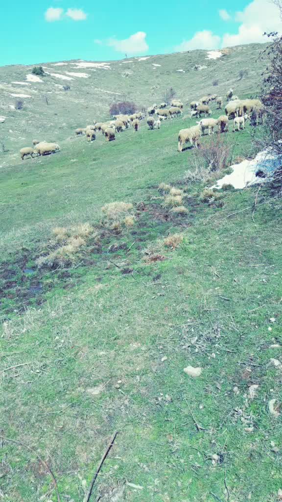 @yakup gökmen