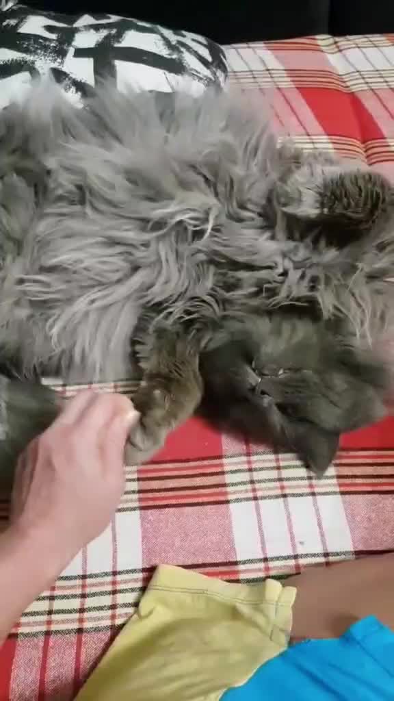 @Ольга