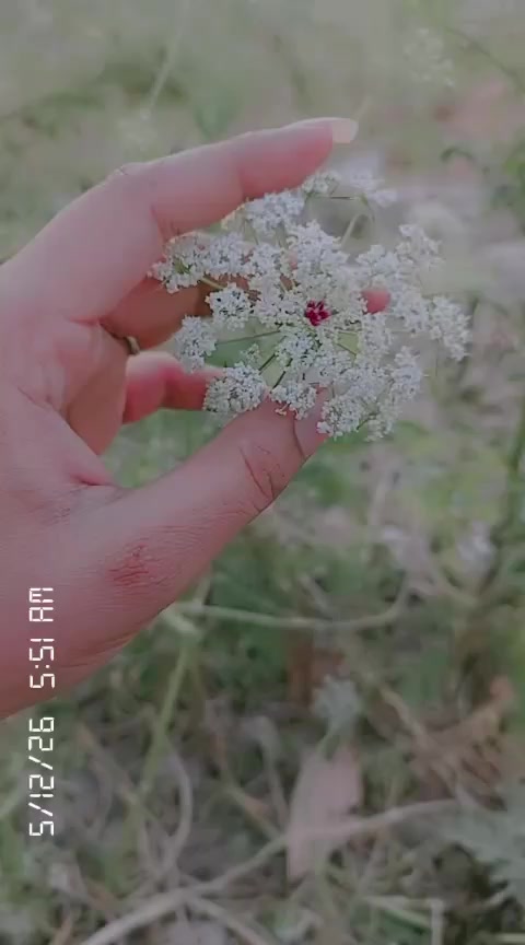 @sweet girl