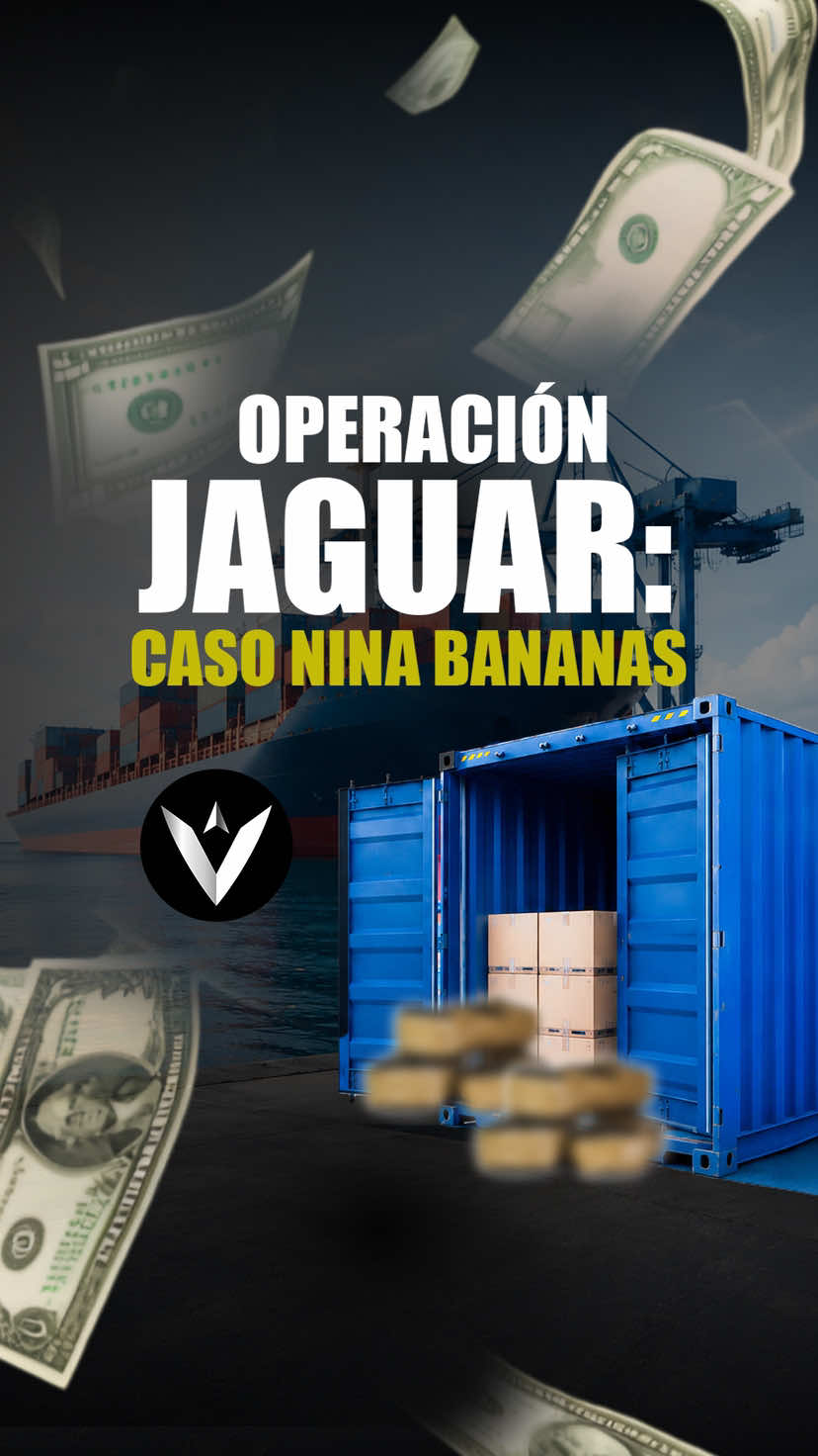 @Vector_ecu