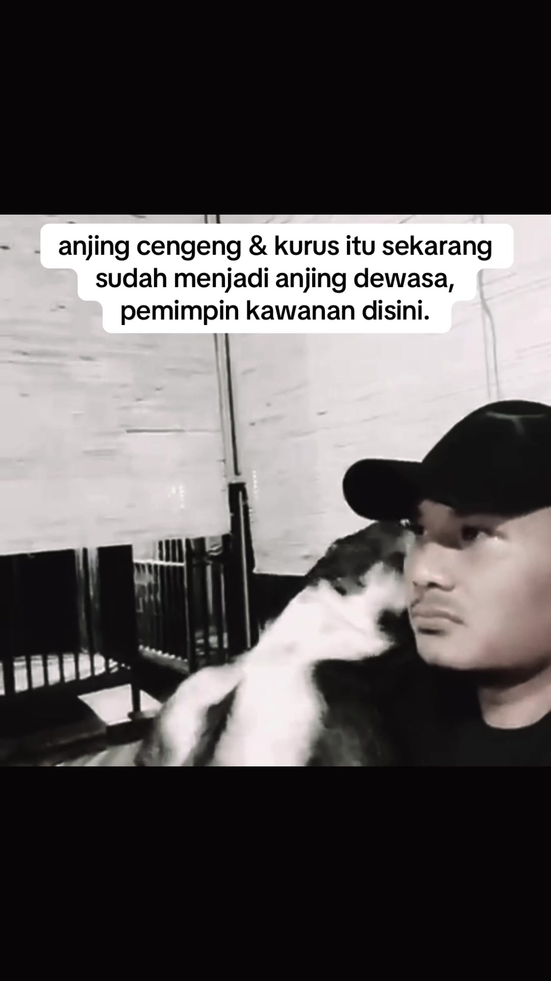 @indonesian_dog_lover