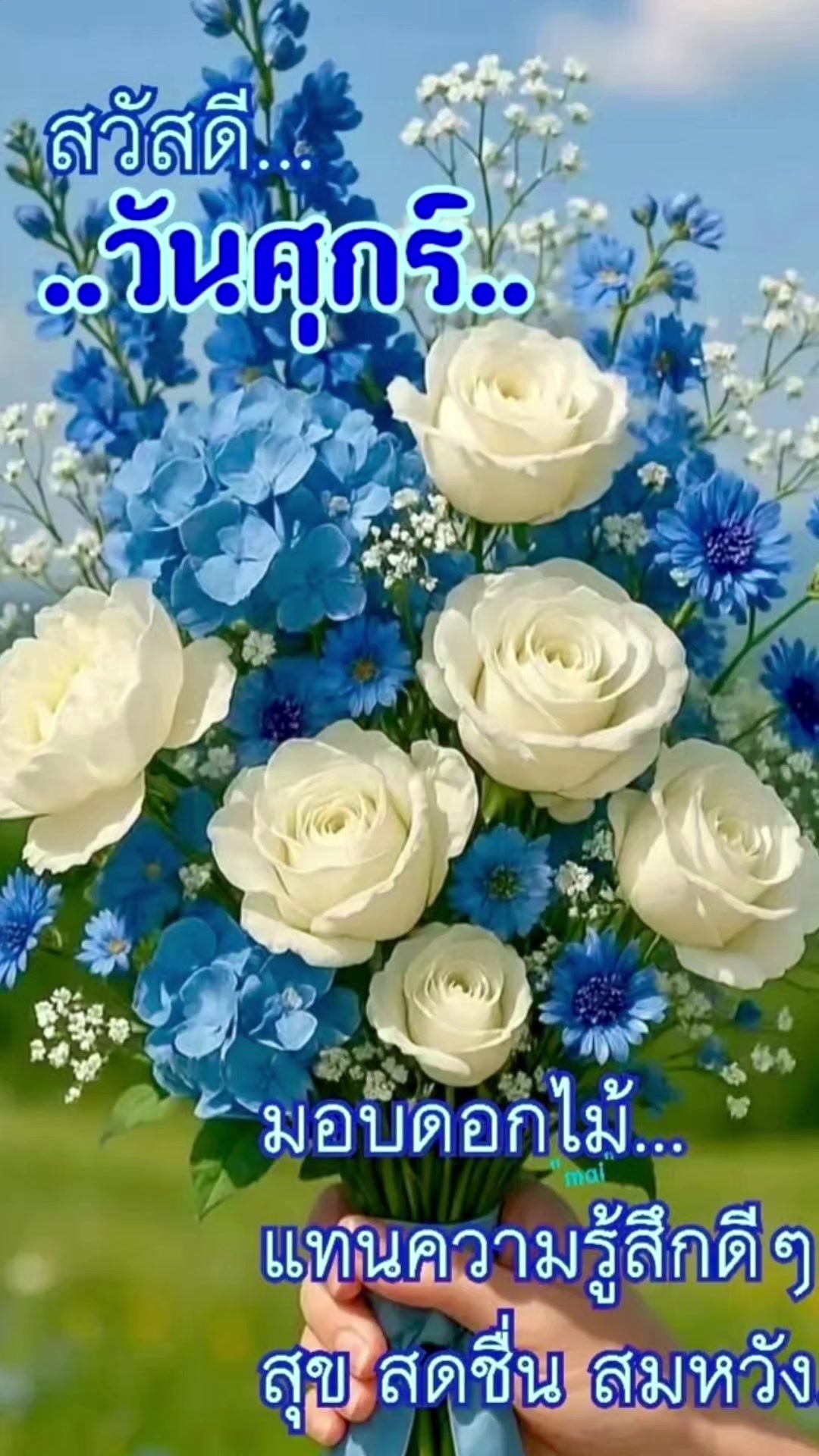 @Orasa mokkhdksoongg