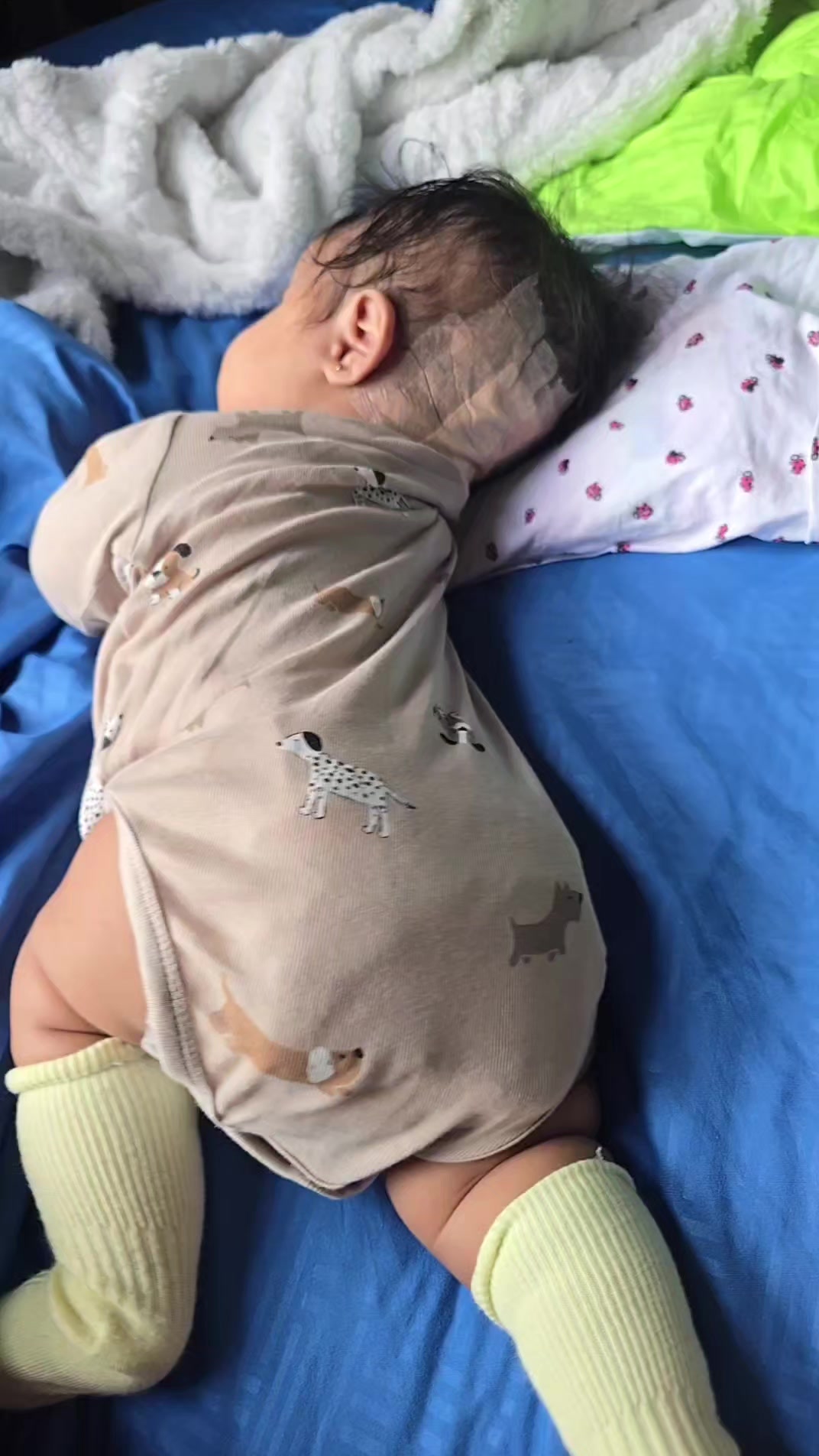 @La vida de baby Luna