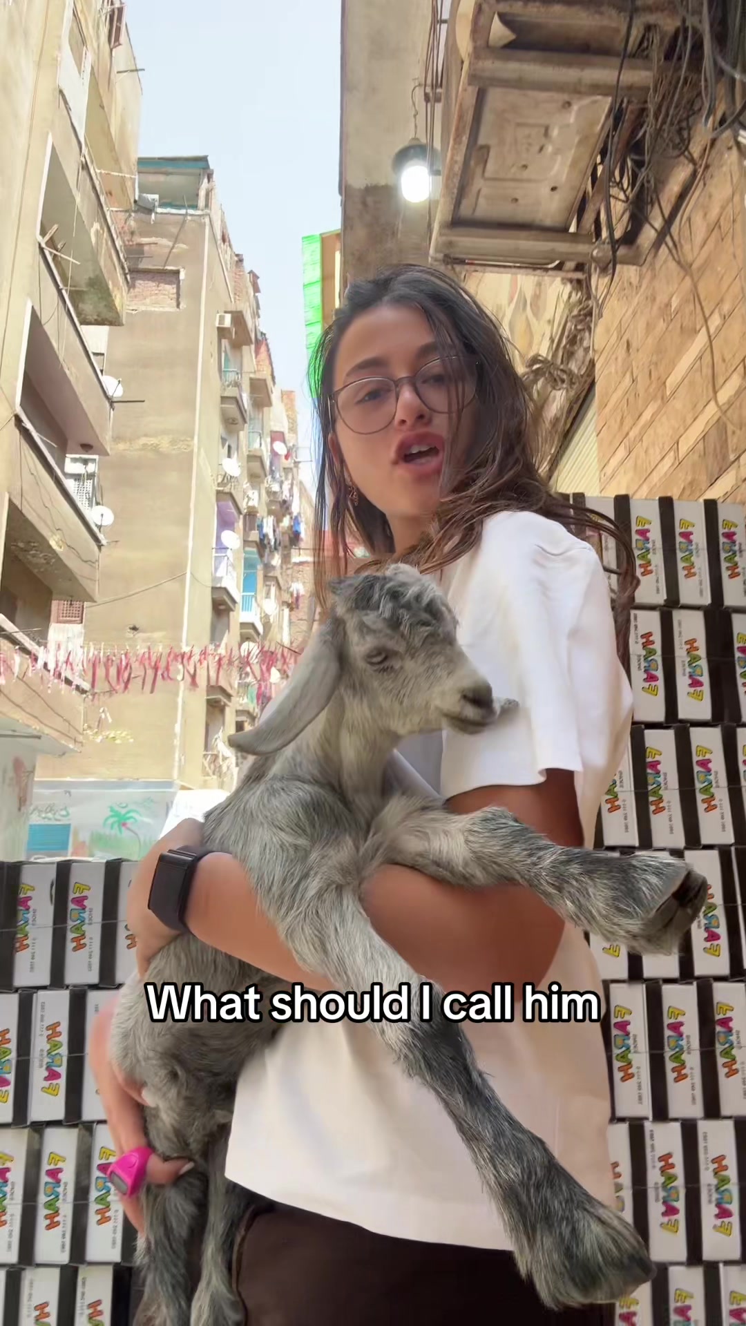 @Zeina Badran