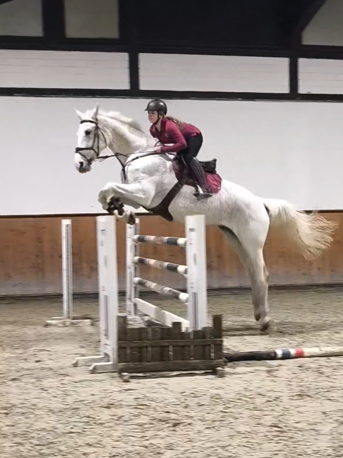 @Spring"Pony"Casha
