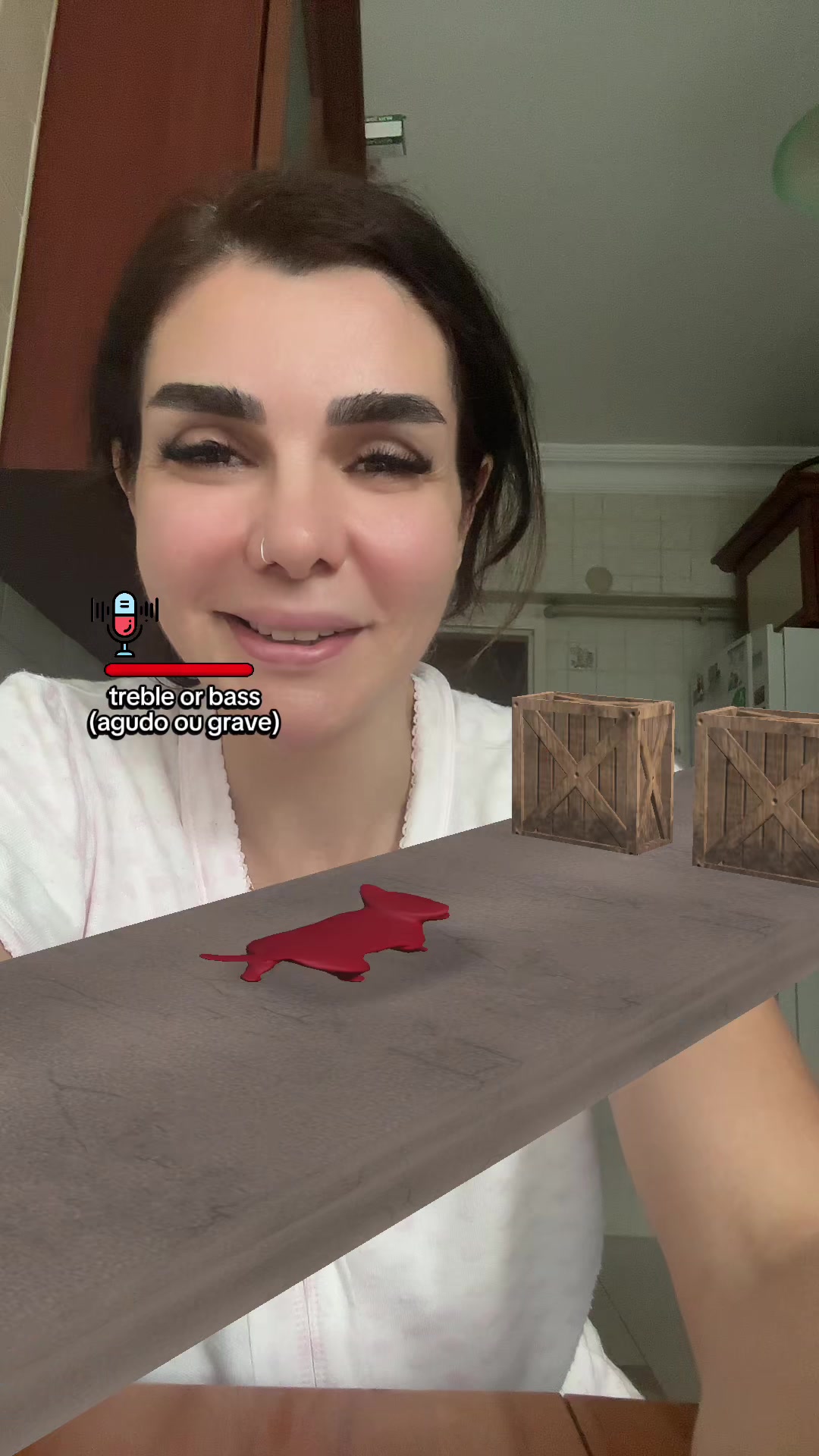 @didemgercek