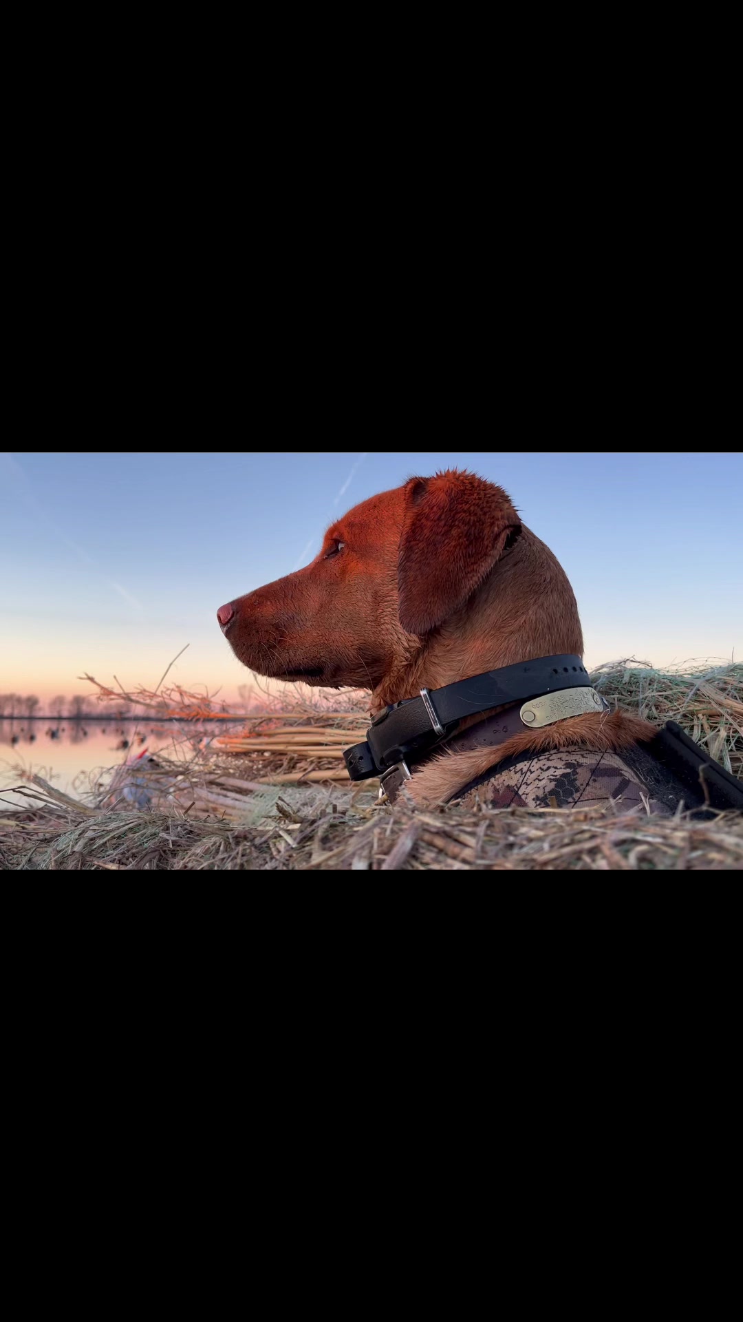 @Trophy Hollow Outfitters