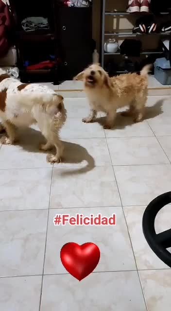 @CasaSAJ