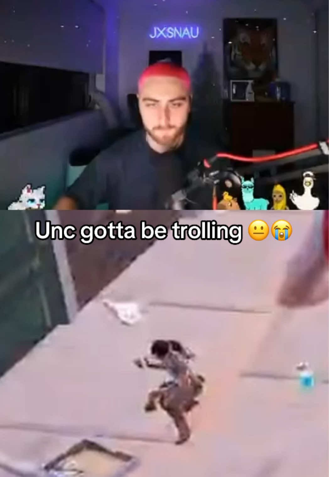 @Jxsn