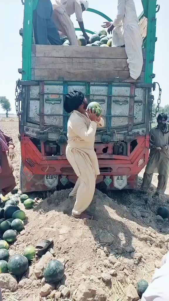 @imrangujjar39660