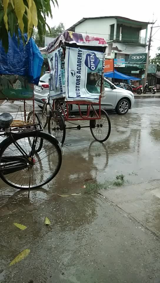 @ridiprankit400