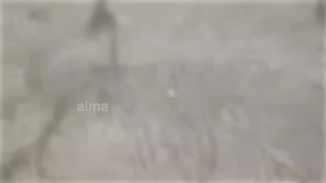 @alma🫶