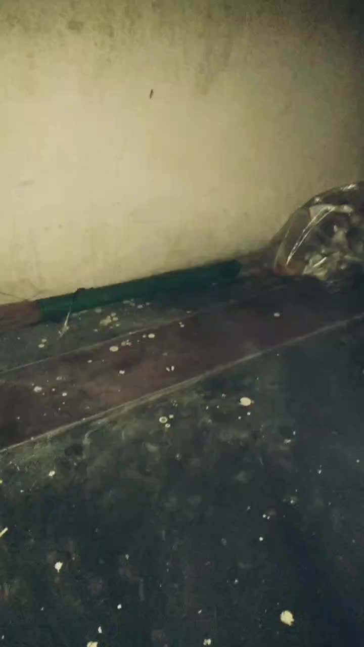 @Siddu ___siddu