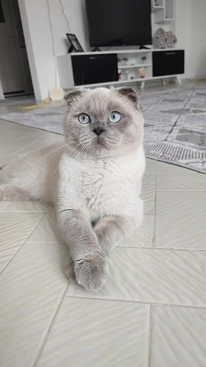 @💙SÜTLAÇ BEY💙