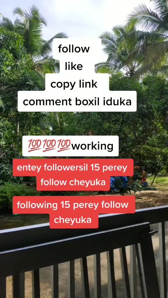 @afee_afeee