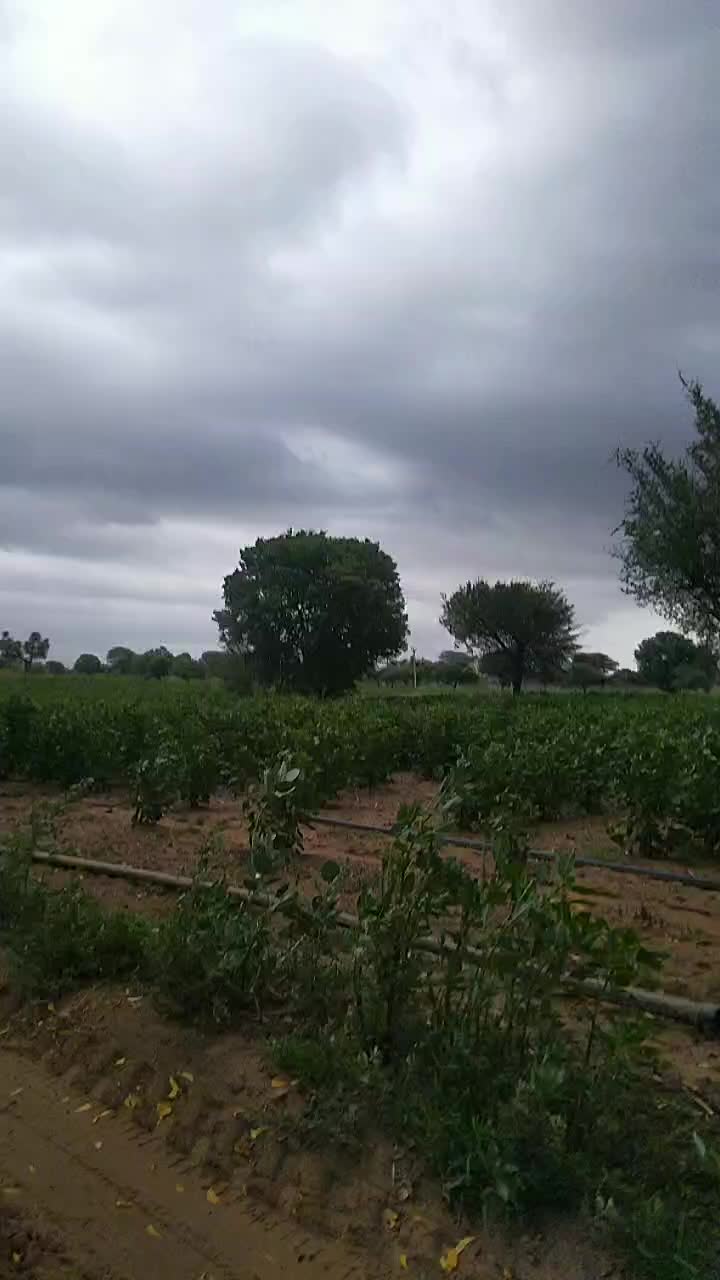 @Yogesh Jaat Kitlania