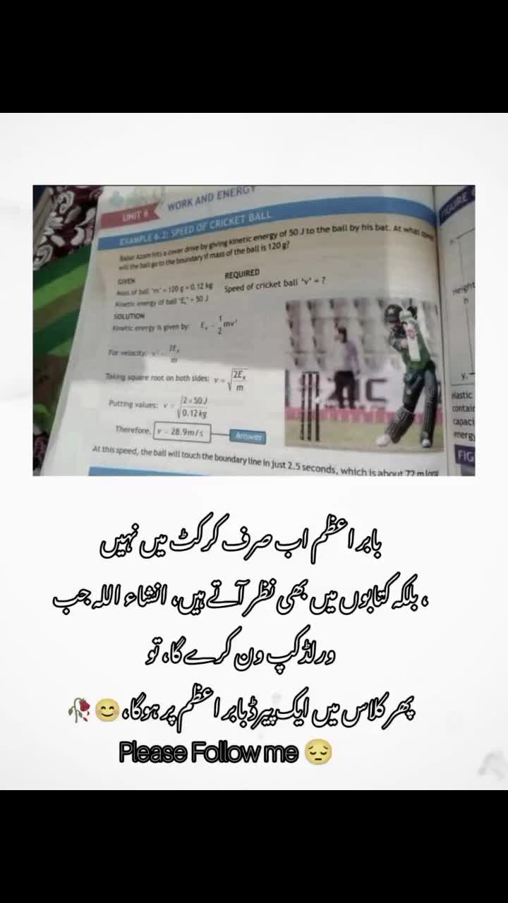 @🏏 Cricket World 🏏