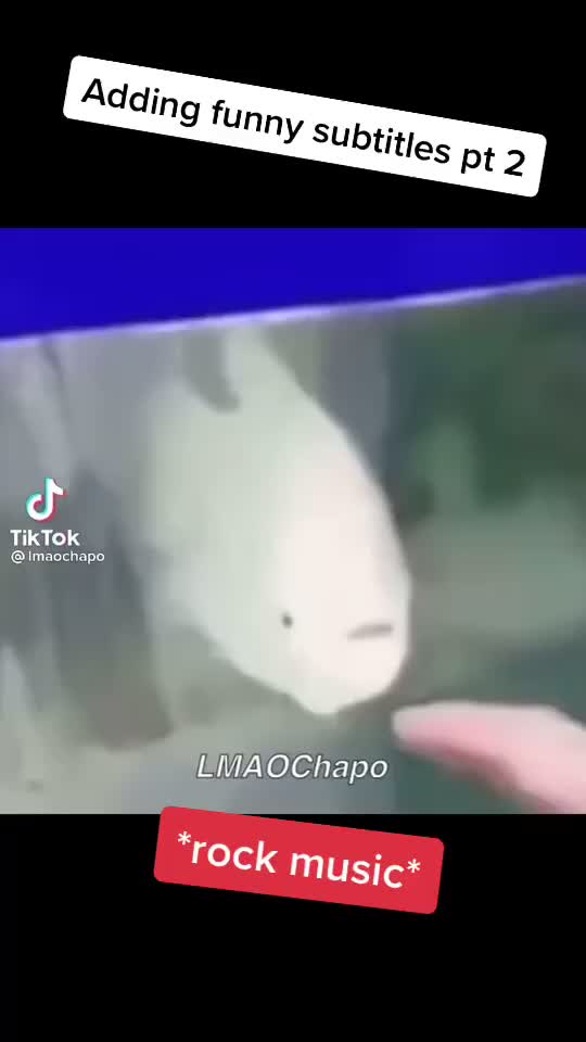 @The top comment will be put in