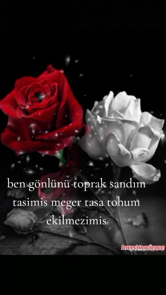@ASİ💗KIZINIZ